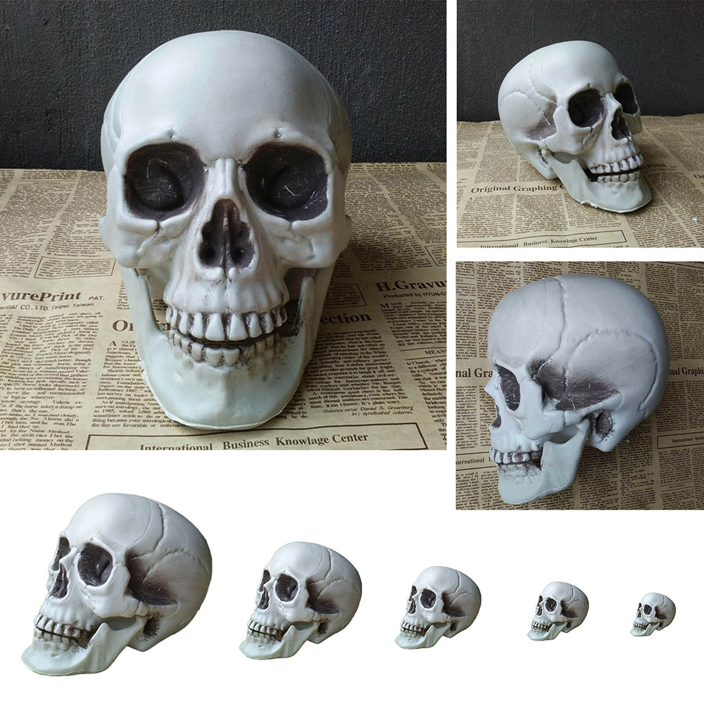 Đầu Lâu Trang Trí Halloween Nhiều Kích Cỡ Tuỳ Chọn