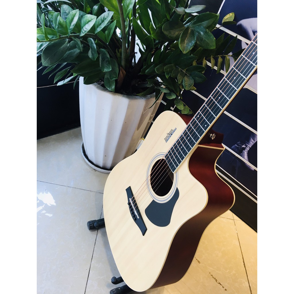 Đàn Guitar Acoustic Rosen R135 màu Vàng Chính hãng