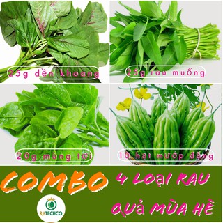 COMBO 4 loại hạt giống rau quả mùa hè: dền khoang, rau muống, mùng tơi, mướp đắng