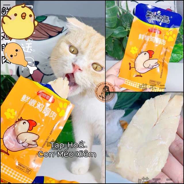 Ức gà cho chó mèo hấp ăn liền gói 40g, thức ăn snack tăng cân mập cún mèo lớn con nhỏ Con Mèo Xiêm