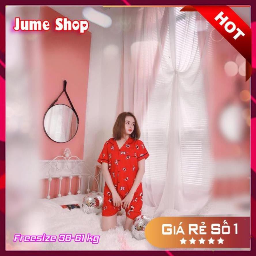 Bộ Pijama cộc đồ ngủ ❤️SIÊU ĐẸP❤️ đồ mặc ở nhà chất kate thái siêu đẹp không nhăn  ཾ ྇ ྇ 😍  ྇