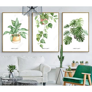 Bộ 3 Tranh in Canvas Lá Xanh (Hình thật tại xưởng - Đã có khung, móc, đinh treo) - The Canvas House