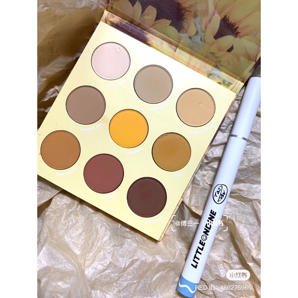 Bảng mắt COLOURPOP- Lil ray of sunshine