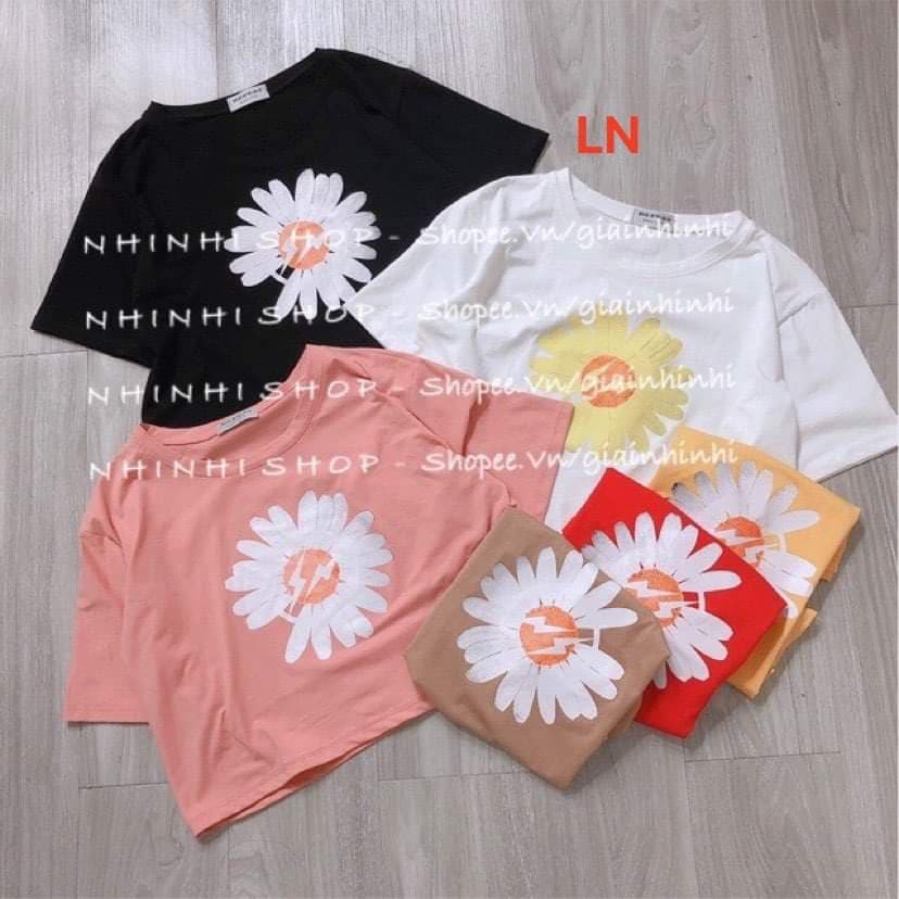 Áo croptop hoa cúc