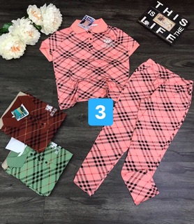 Set bộ thun thái đồng màu (<58kg)