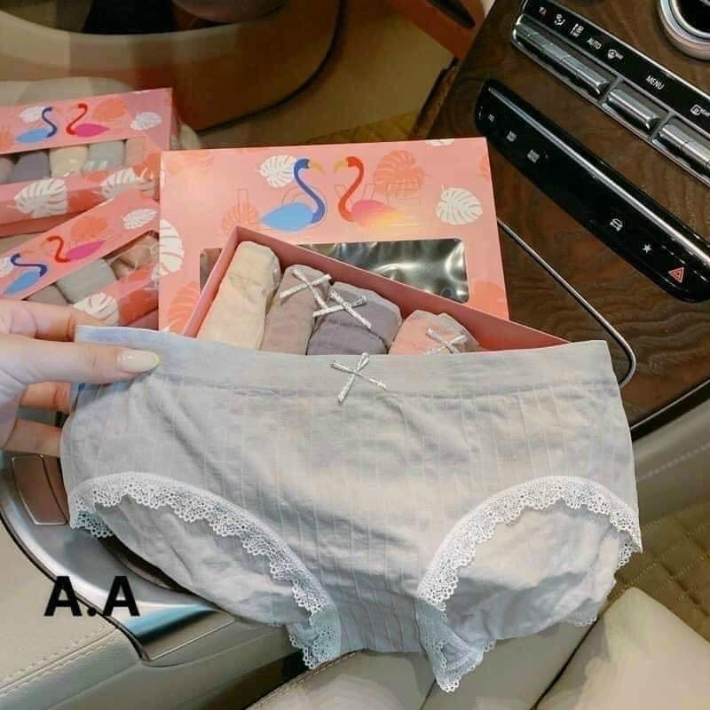Combo 5 quần lót cotton thiên nga đính nơ, co giãn 4 chiều khánh khuẩn