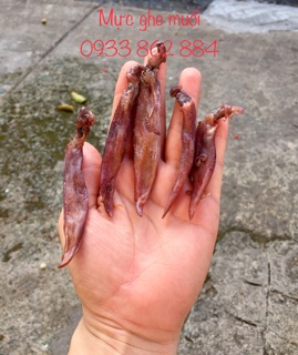 MỰC GHE MUỐI (0,5kg)