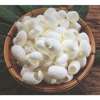Kén tằm dưỡng da túi 10 cái
