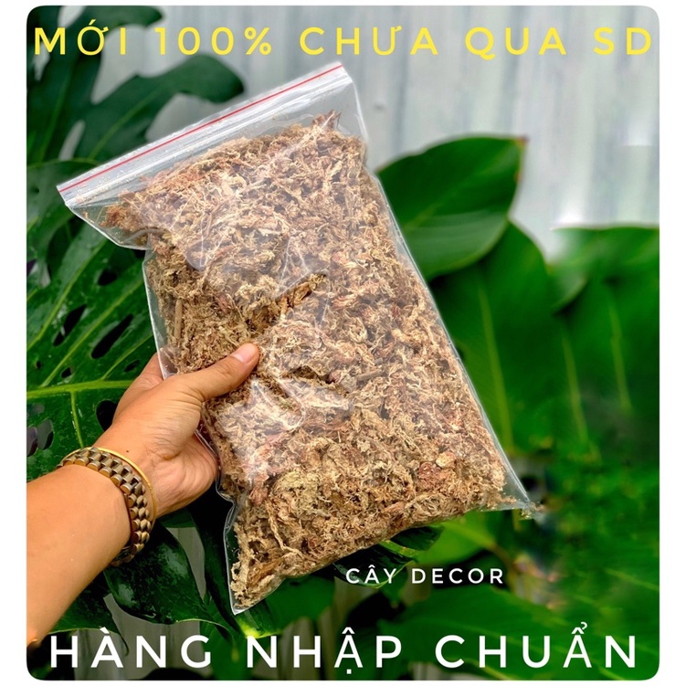 Dớn Chi-lê (Rêu sâu - dớn trắng - dớn Chile) hàng nhập, mới chưa sd gói 100gr