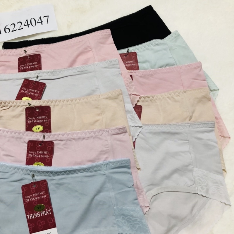 Set 5 Quần lót nữ Thịnh phát cotton lưng cao, quần chíp nữ cao cấp