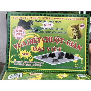 Combo 10 tấm keo bẫy chuột siêu dính chuột bắt được tất cả các loại chuột không mùi