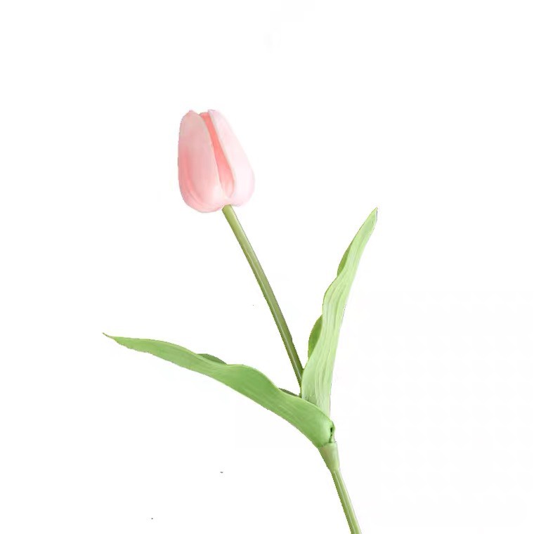 Hoa tulip giả giống thật 99% - LÁ XOĂN LOẠI 1- 1 CÀNH