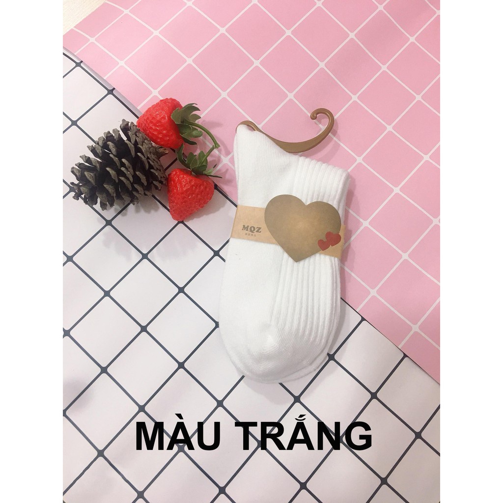 Set 5 đôi tất cổ cao Bivota vớ nữ Hàn Quốc cotton len gân vintage T62