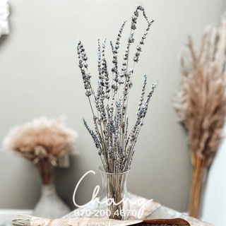 Bó hoa khô Lavender Pháp (hoa Oải hương)