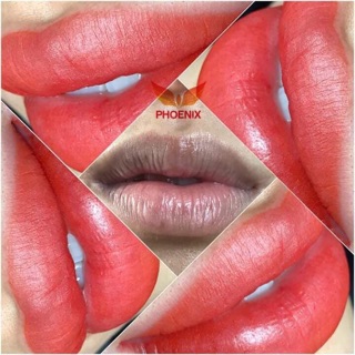 Mực phun xăm không cần khử thâm Phoenix