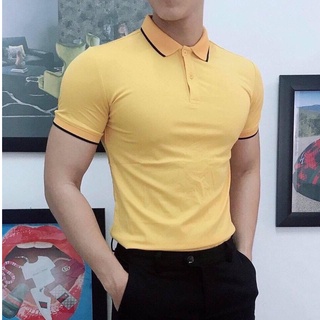 Áo thun nam giá rẻ polo có cổ tay ngắn vài trơn Áo Polo nam ngắn tay cổ bẻ Viền Tay LAT0015