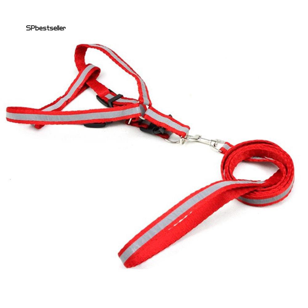 Dây đeo dắt thú cưng đi dạo thoải mái