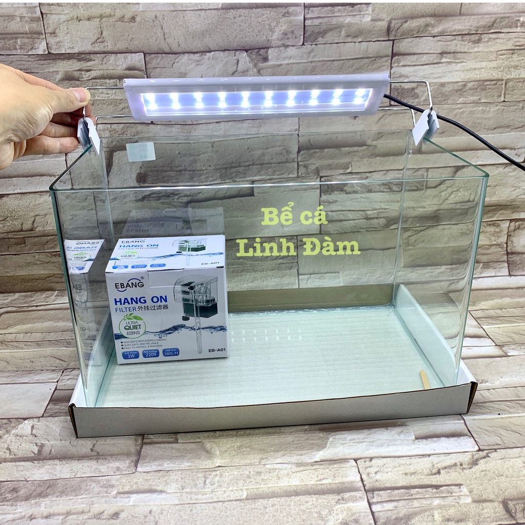 Bể Cá Chữ Nhật 35cm Kính Đúc Bo Góc Đẹp - Bể Cá Mini Dài 35cm