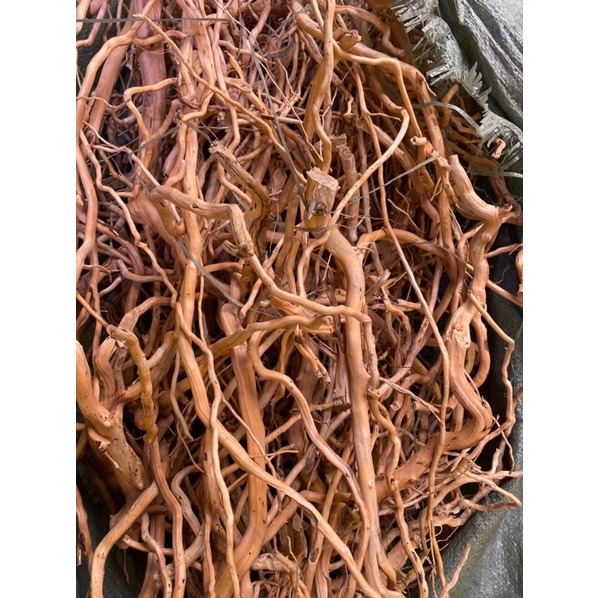 lũa rễ rừng set bán cạn, tiểu cảnh, lũa rễ set terrarium, lũa sợi nhỏ mềm dẻo