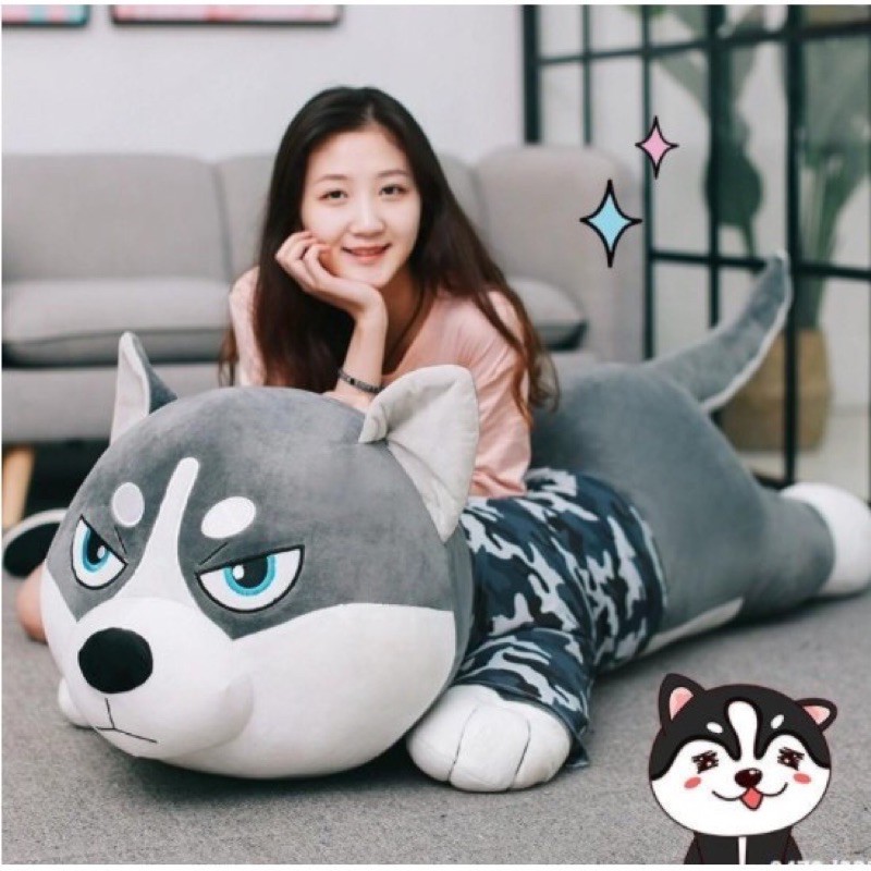 ❤️Sỉ giá Xưởng🚗 Chó Bông Husky, Gấu Bông Chó Husky Chó Sói Ngáo Siêu To Mềm Êm Đẹp