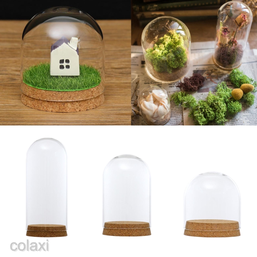 [COLAXI] Clear Glass Display Dome Cover Cloche Bell Jar Succulent Terrariums w/ Cork