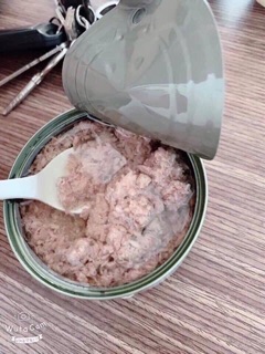 CÁ NGỪ DẦU ROYAL ARAB