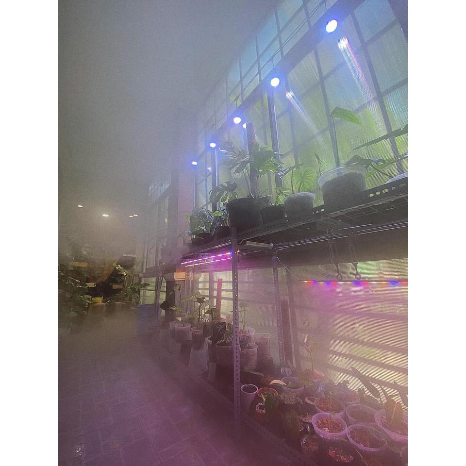 ĐÈN RỌI RAY WEEK RGB 30W  CHIẾU SÁNG CHO CÂY TRONG NHÀ - ĐÈN CHÍNH HÃNG WEEK