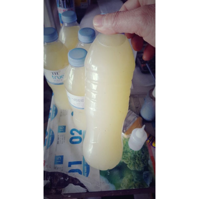 sơn lót cho đồ gỗ