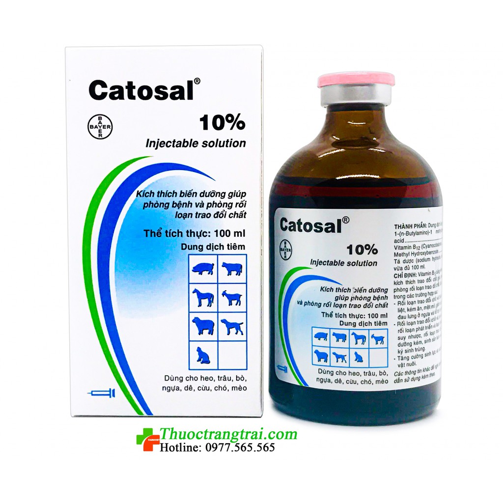 Thuốc bổ, tăng lực, kích thích biến dưỡng CATOSAL 100ML