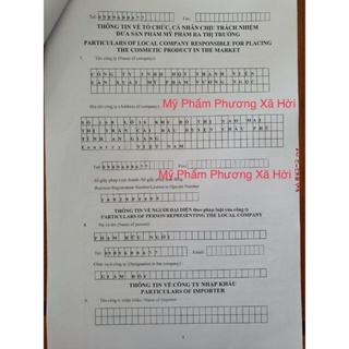 Kem Genmy 10g B4