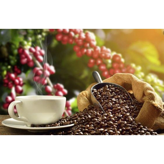[FreeShip – Hàng Loại 1]Cà phê Chery Excelsa - Cafe Rang xay nguyên chất | BigBuy360 - bigbuy360.vn
