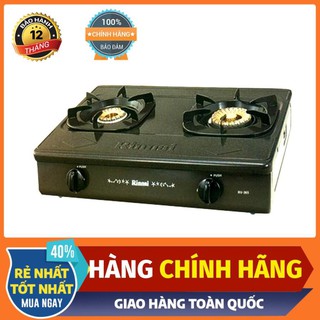 Bếp ga đôi Rinnai RV365 tráng men siêu bền