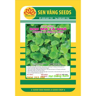 Gói 0.1Gr Hạt Giống Rau má lá nhỏ Thanh nhiệt Dễ trồng