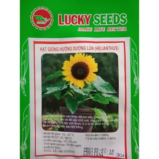 HẠT GIỐNG HƯỚNG DƯƠNG LÙN