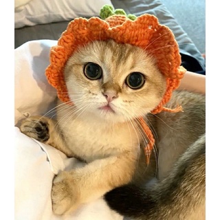 Mũ cà rốt cho mèo dễ thương