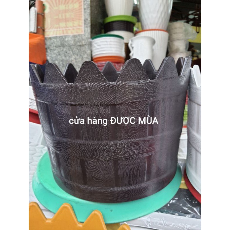 chậu hàng rào kiểu tròn đường kính 30cm.