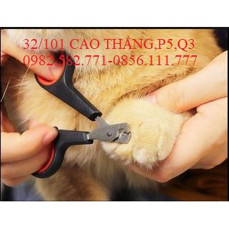 Kềm cắt móng vuốt thú cưng thiết kế bền bỉ chất lượng cao