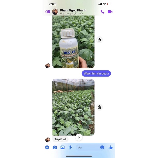 PHÂN BÓN HỮU CƠ CAO CẤP HLC 16 - PHÂN BÓN LÁ KÍCH MẦM KÍCH CHỒI DƯỠNG TRÁI CHO CÂY ĂN QUẢ, HOA, CÂY CẢNH, RAU MÀU- 500ML