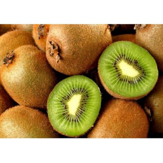 Cây Giống Kiwi  - Cây giống nhập khẩu