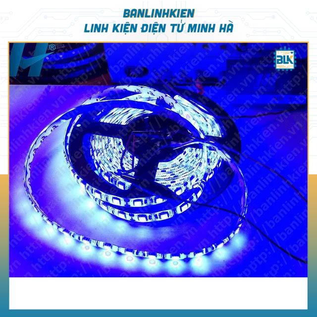 Led Dây 5050 Xanh Dương PN (Cuộn 5M)