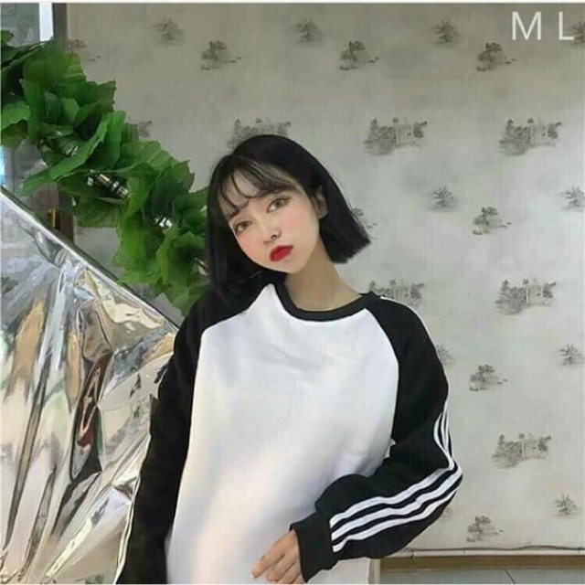 Áo nỉ sọc dài tay 