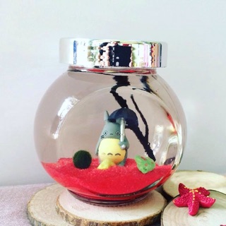 Set Tiny Tảo Cầu Nhật Bản - Marimo