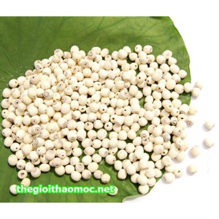 Hạt den khô quê siêu bở