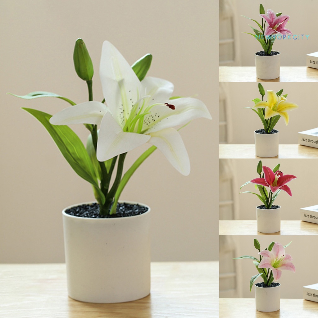 Chậu Cây Bonsai Nhân Tạo Bằng Nhựa Sống Động Dùng Trang Trí Nhà Cửa