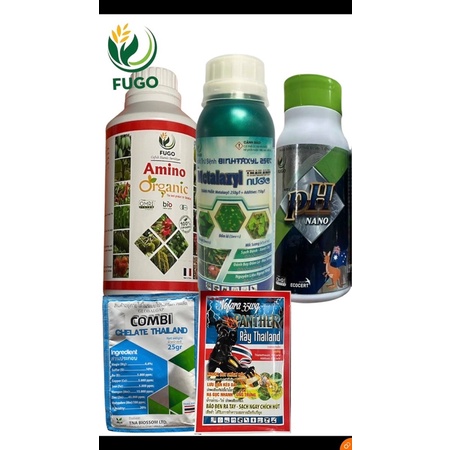 Combo xử lý bệnh thối rễ sầu riêng( pH Nano+ Metalaxyl)+và phục hồi cây sau bệnh (Amino organic+ combi+ Panther Rầy)