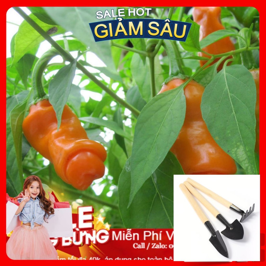 Hạt Giống Ớt Peter - 5 Hạt / Gói ( Hàng Loại 1 ) - Tặng Kèm Bộ Dụng Cụ Trồng Cây Mini