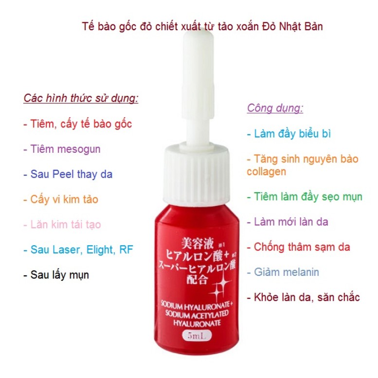 Tế bào gốc đỏ Nhật Bản