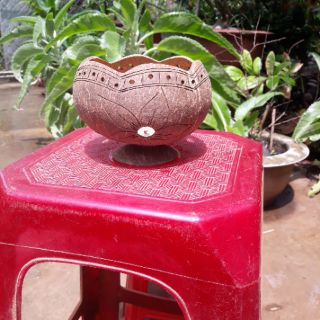 Chậu Gáo Dừa miệng kiểu có đế