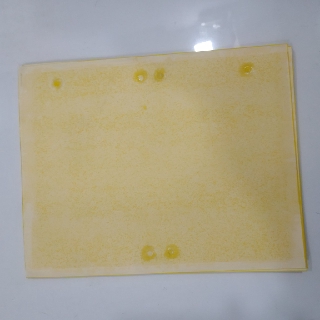 10 Miếng Bẫy Ruồi Vàng 20x25cm