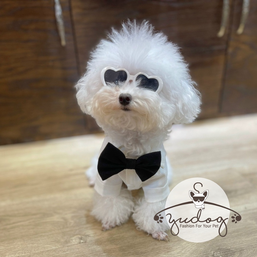 Sơ mi trắng cho chó mèo yudog sơ mi trắng kèm nơ cho thú cưng chó mèo